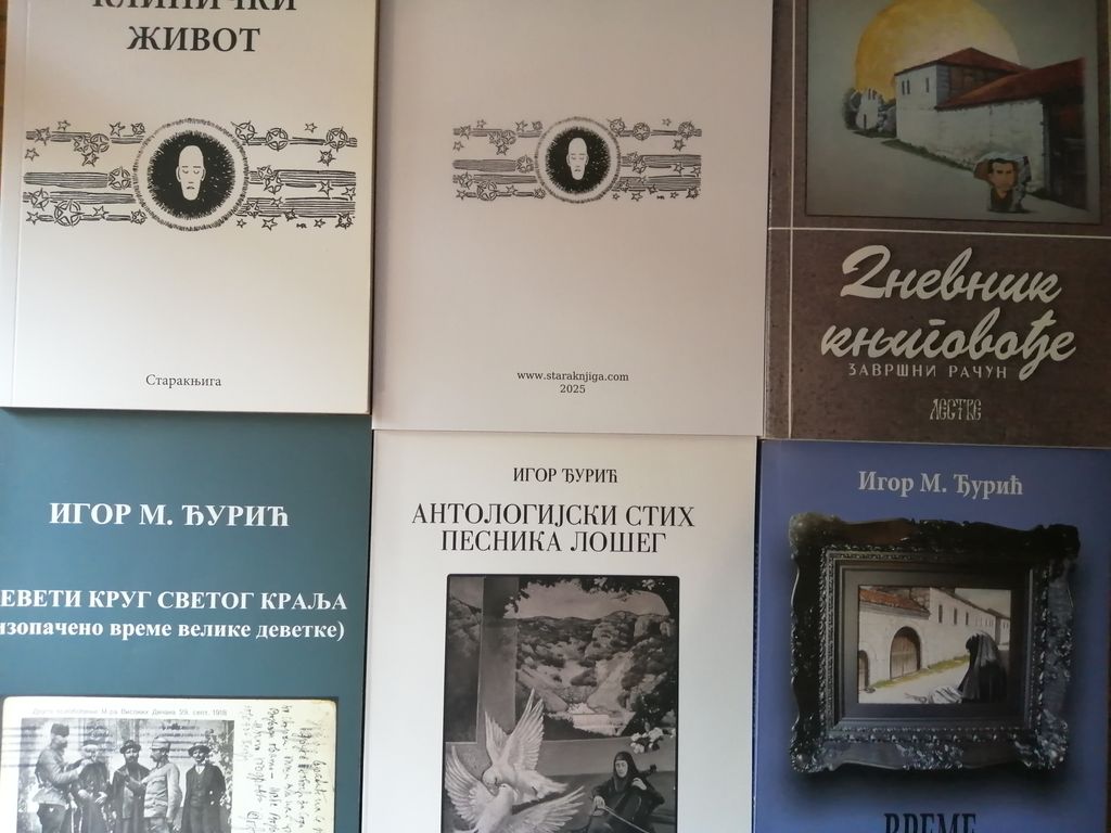 Šest knjiga Igora Đurića